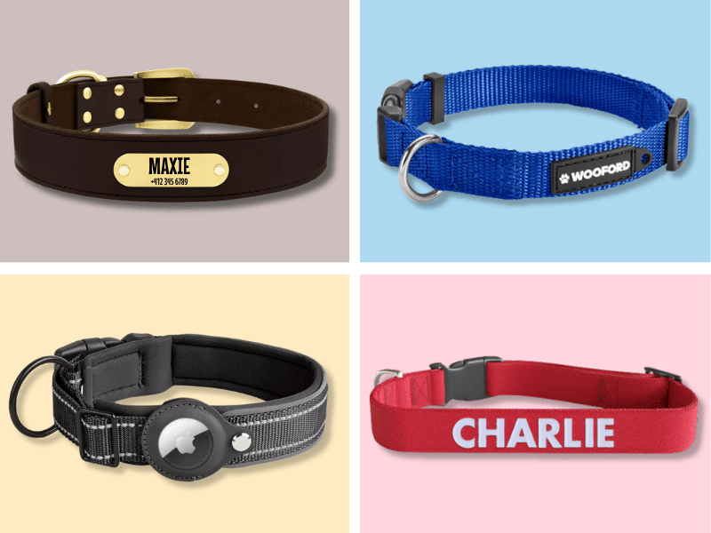 Quatre colliers pour chiens : en cuir avec une médaille gravée, en nylon bleu avec une plaque d'identification, en noir avec un support AirTag, en rouge avec une broderie.
